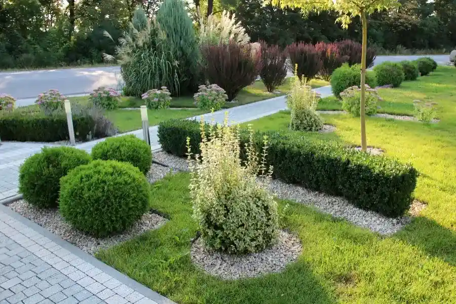 Common Landscape Maintenance Mistakes And How To Avoid Them in Bridgeport, PA Common Landscape Maintenance Mistakes And How To Avoid Them in Bridgeport, PA