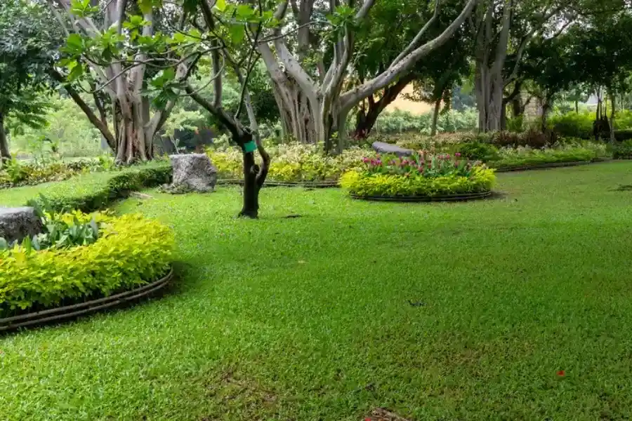 Expert Landscape Maintenance Bridgeport, PA Expert Landscape Maintenance Bridgeport, PA