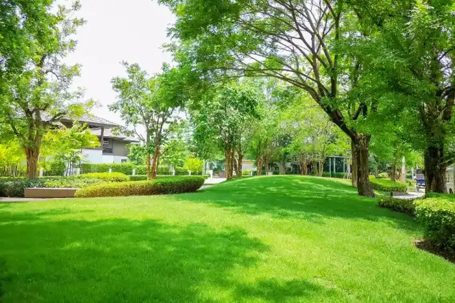 Key Steps To Keep Your Lawn Lush And Green Year-round Bridgeport, PA Key Steps To Keep Your Lawn Lush And Green Year-round Bridgeport, PA